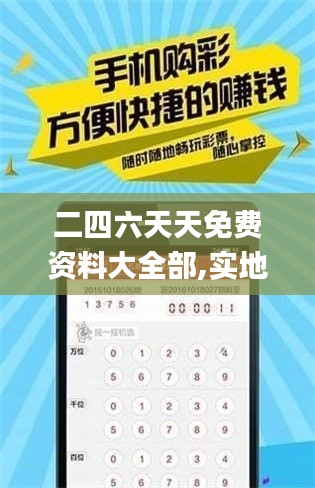 二四六天天免费资料大全部,实地计划设计验证_开发版18.878