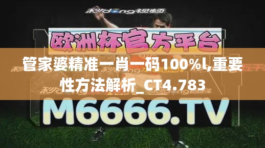 管家婆精准一肖一码100%l,重要性方法解析_CT4.783