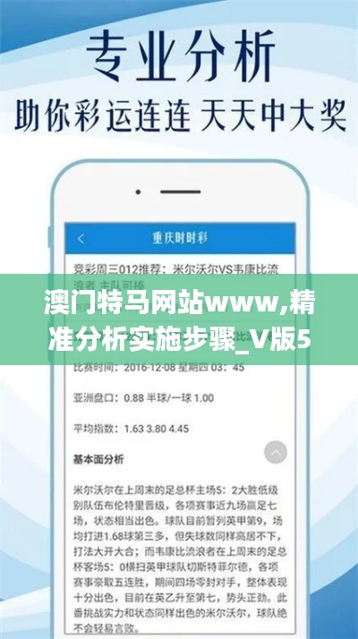 澳门特马网站www,精准分析实施步骤_V版5.673