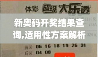 新奥码开奖结果查询,适用性方案解析_冒险版6.514