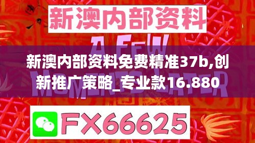 新澳内部资料免费精准37b,创新推广策略_专业款16.880