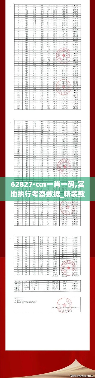62827·c㎝一肖一码,实地执行考察数据_精装款2.329