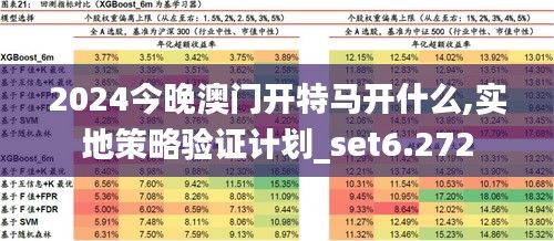 2024今晚澳门开特马开什么,实地策略验证计划_set6.272