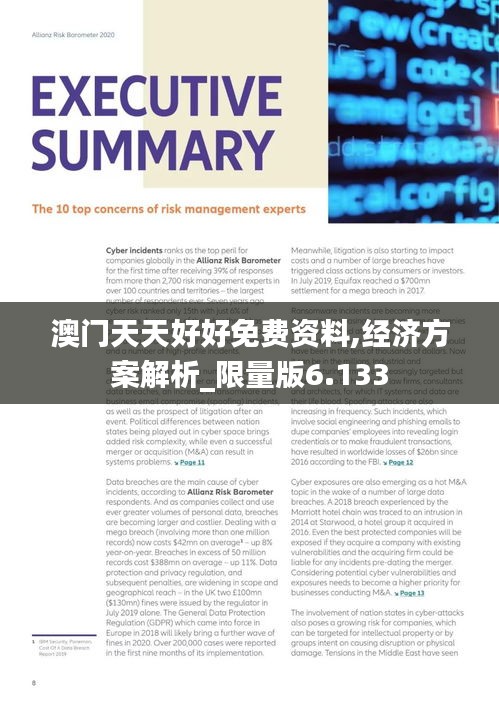 澳门天天好好免费资料,经济方案解析_限量版6.133