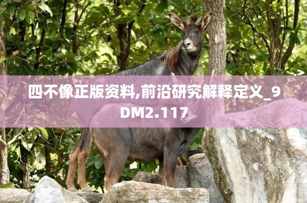 四不像正版资料,前沿研究解释定义_9DM2.117