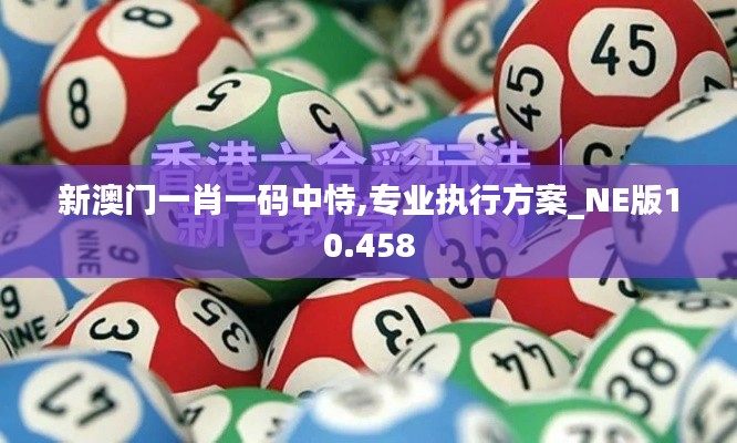 新澳门一肖一码中恃,专业执行方案_NE版10.458