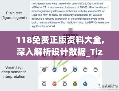 118免费正版资料大全,深入解析设计数据_Tizen17.782