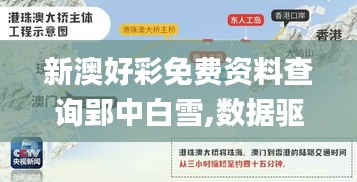 新澳好彩免费资料查询郢中白雪,数据驱动执行决策_复古版4.508