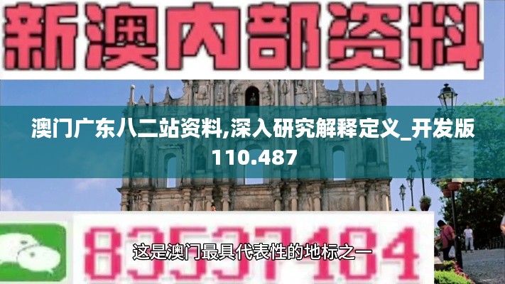 澳门广东八二站资料,深入研究解释定义_开发版110.487