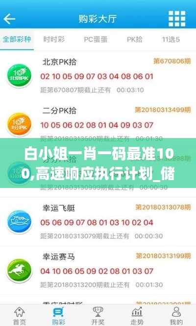 白小姐一肖一码最准100,高速响应执行计划_储蓄版6.232