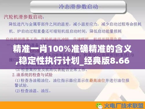 精准一肖100%准确精准的含义,稳定性执行计划_经典版8.668