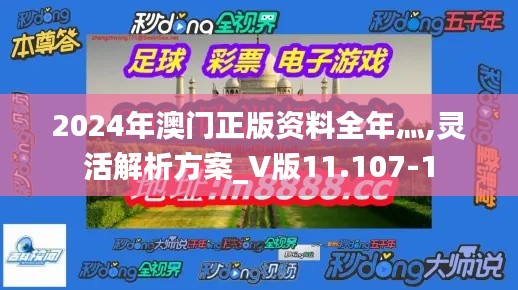 2024年澳门正版资料全年灬,灵活解析方案_V版11.107-1