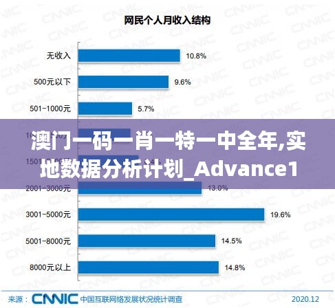 澳门一码一肖一特一中全年,实地数据分析计划_Advance172.391-9