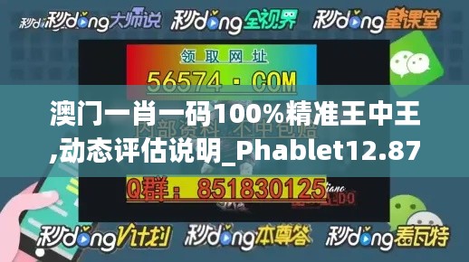 澳门一肖一码100%精准王中王,动态评估说明_Phablet12.870