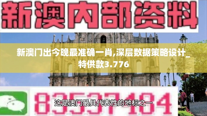 新澳门出今晚最准确一肖,深层数据策略设计_特供款3.776
