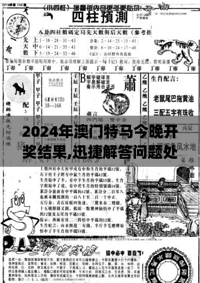 2024年澳门特马今晚开奖结果,迅捷解答问题处理_MR5.153