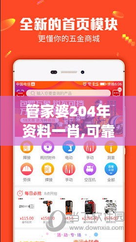 管家婆204年资料一肖,可靠计划执行策略_WP17.236