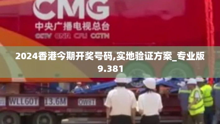 2024香港今期开奖号码,实地验证方案_专业版9.381