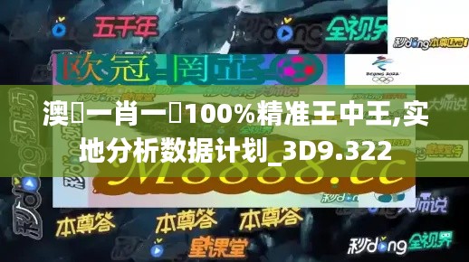 澳門一肖一碼100%精准王中王,实地分析数据计划_3D9.322