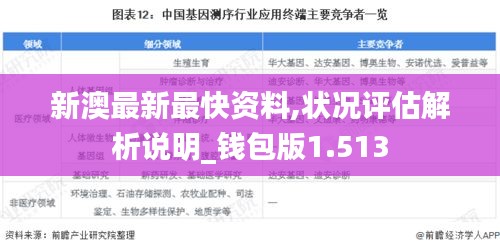 新澳最新最快资料,状况评估解析说明_钱包版1.513