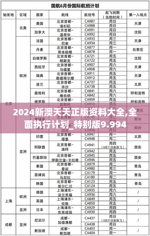 2024新澳天天正版资料大全,全面执行计划_特别版9.994