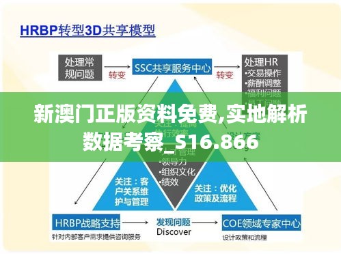 新澳门正版资料免费,实地解析数据考察_S16.866