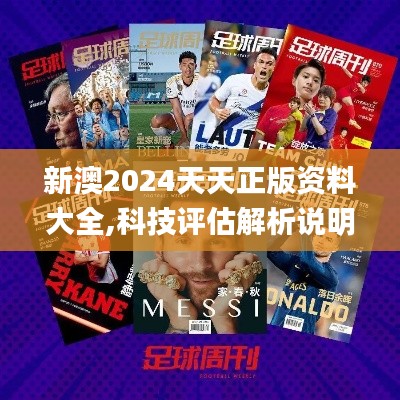 新澳2024天天正版资料大全,科技评估解析说明_网页版2.128