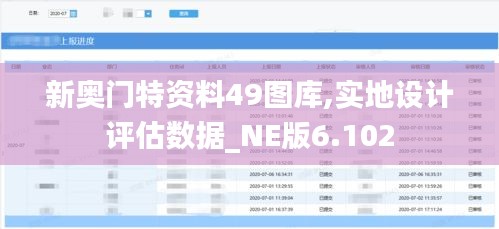 新奥门特资料49图库,实地设计评估数据_NE版6.102