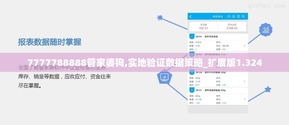 7777788888管家婆狗,实地验证数据策略_扩展版1.324