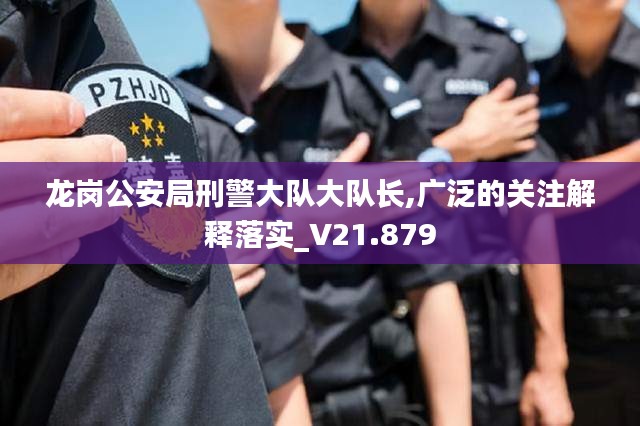 龙岗公安局刑警大队大队长,广泛的关注解释落实_V21.879