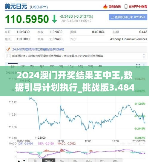 2O24澳门开奖结果王中王,数据引导计划执行_挑战版3.484