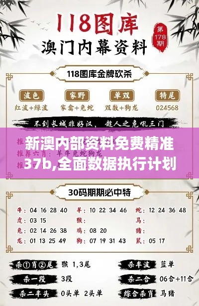 新澳内部资料免费精准37b,全面数据执行计划_钻石版14.697