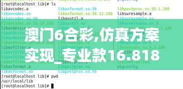 澳门6合彩,仿真方案实现_专业款16.818