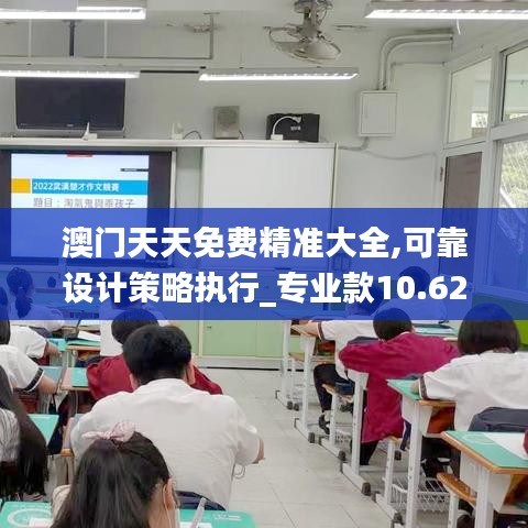 澳门天天免费精准大全,可靠设计策略执行_专业款10.625