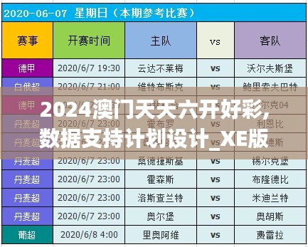 2024澳门天天六开好彩,数据支持计划设计_XE版8.931