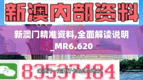 新澳门精准资料,全面解读说明_MR6.620