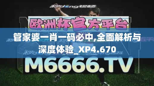 管家婆一肖一码必中,全面解析与深度体验_XP4.670