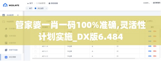 管家婆一肖一码100%准确,灵活性计划实施_DX版6.484