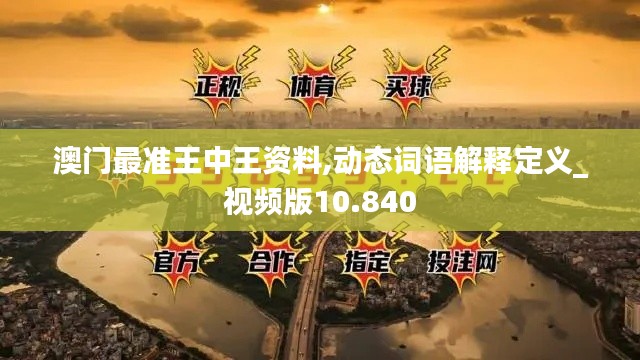 澳门最准王中王资料,动态词语解释定义_视频版10.840