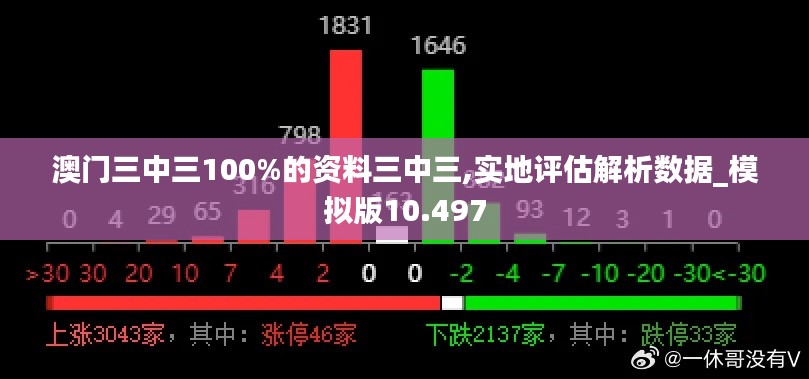 澳门三中三100%的资料三中三,实地评估解析数据_模拟版10.497
