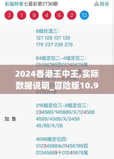 2024香港王中王,实际数据说明_冒险版10.966