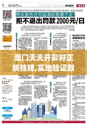 澳门天天开彩好正版挂牌,实地验证数据应用_娱乐版5.969