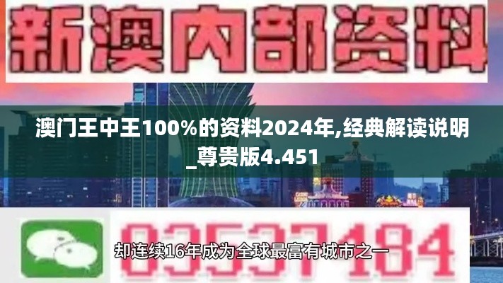 澳门王中王100%的资料2024年,经典解读说明_尊贵版4.451