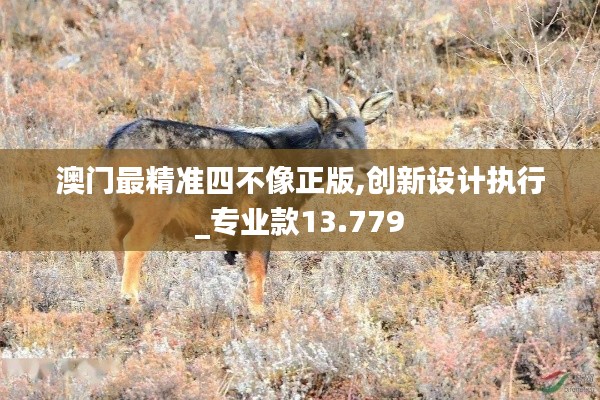 澳门最精准四不像正版,创新设计执行_专业款13.779