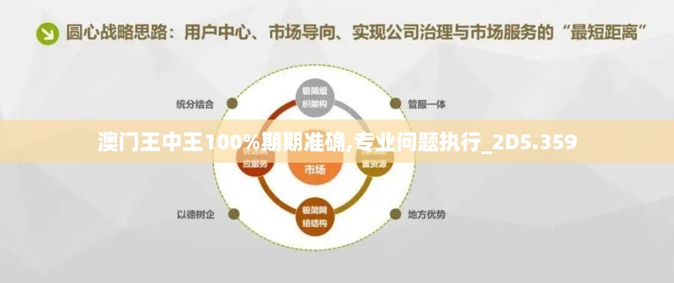 澳门王中王100%期期准确,专业问题执行_2D5.359