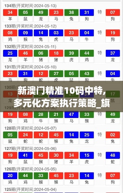 新澳门精准10码中特,多元化方案执行策略_旗舰款7.863