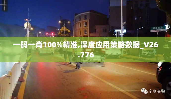 一码一肖100%精准,深度应用策略数据_V26.776
