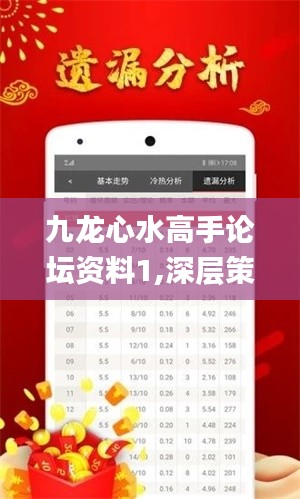 九龙心水高手论坛资料1,深层策略执行数据_高级款9.213