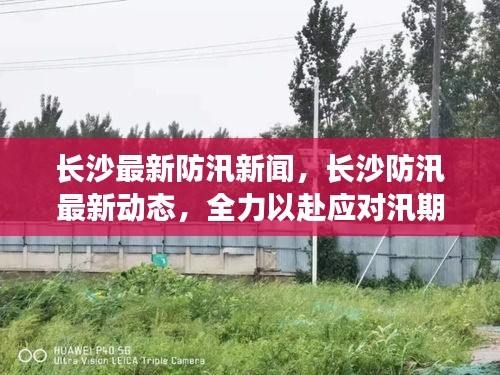 屦贱踊贵 第3页