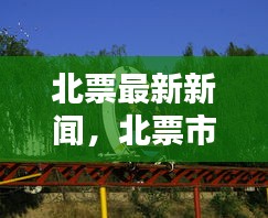 北票最新新闻动态概览